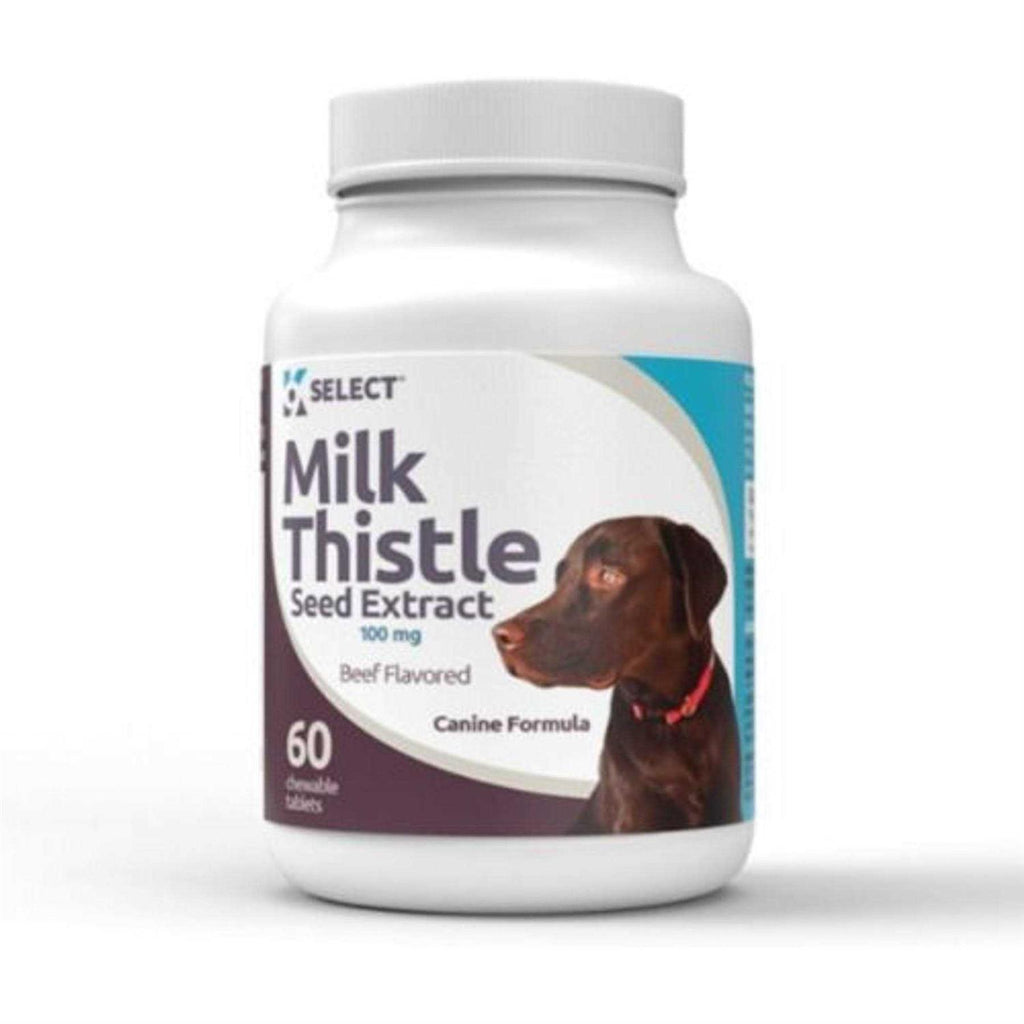 Milk Thistle for Dogs 100mg 60 Beef Flavored Tablets X754229