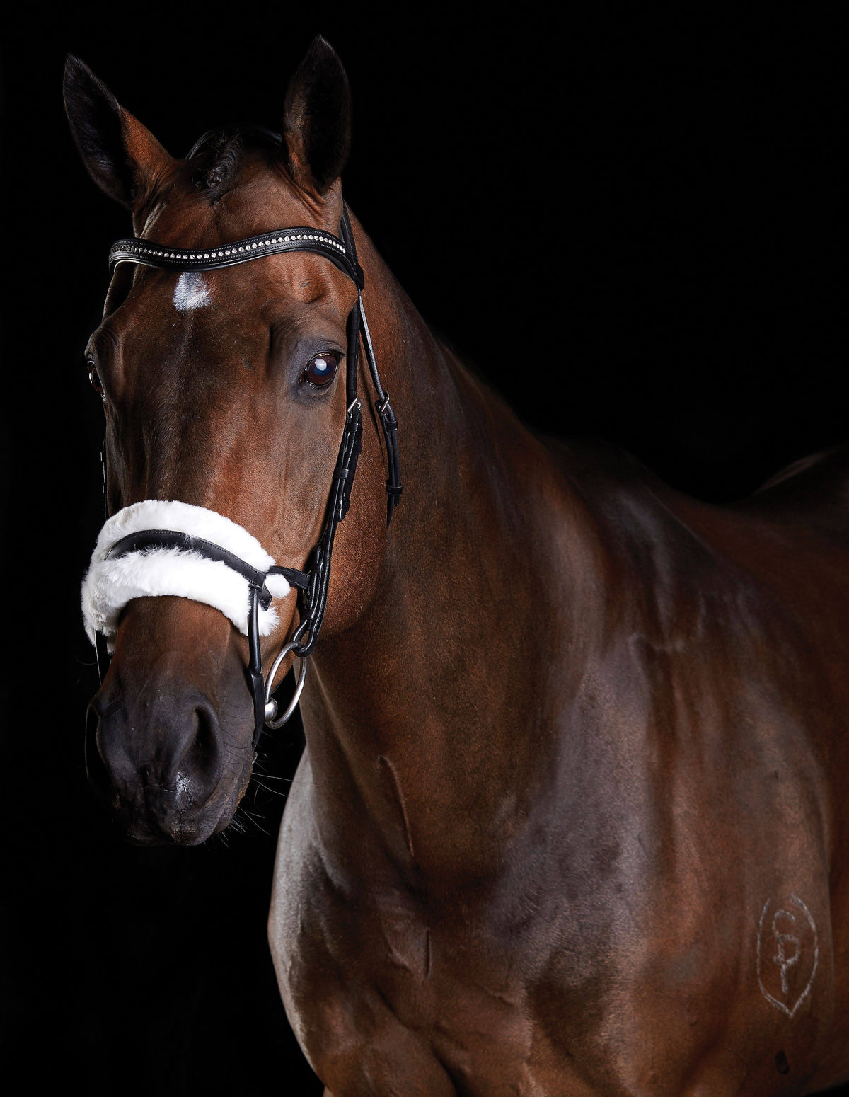 Black Sheepskin Bridle J471