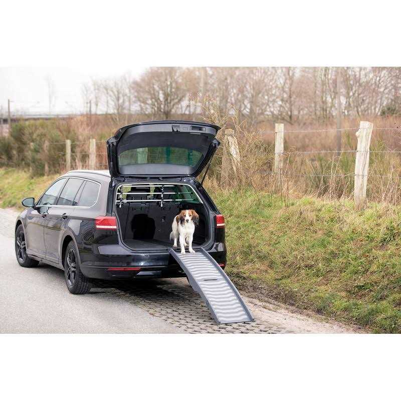 Portable Pet Ramp Lightweight I3951