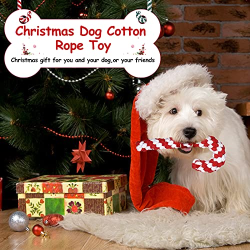 5 Pack Christmas Dog Chew and Training Toys K3284