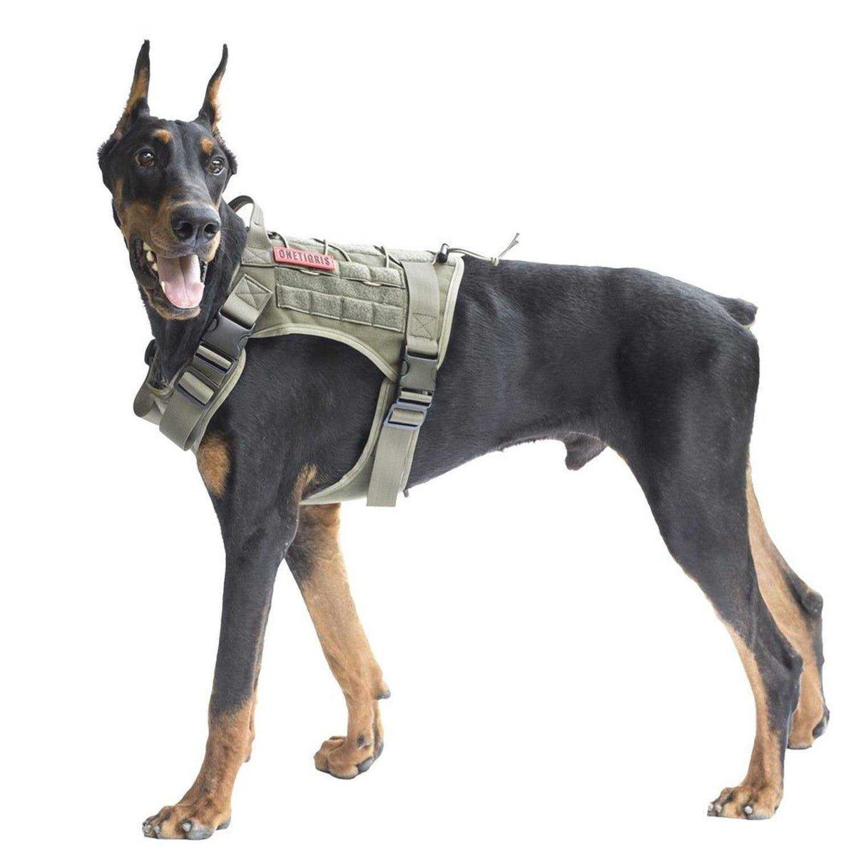 Tactical Dog Harness R64390