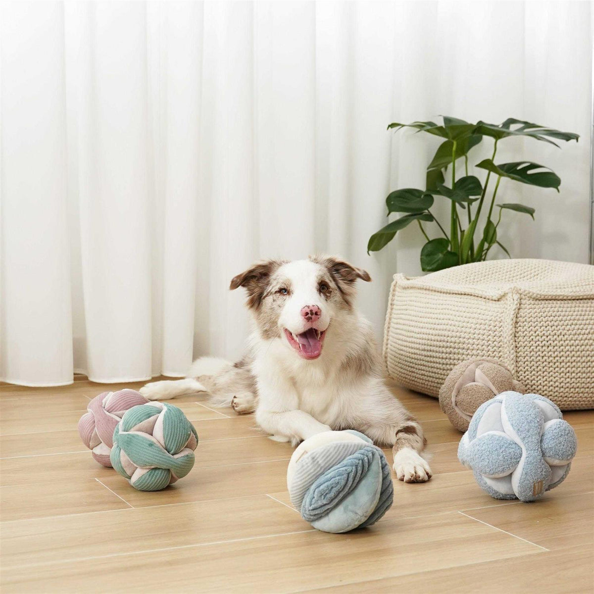 Dog Toy H931