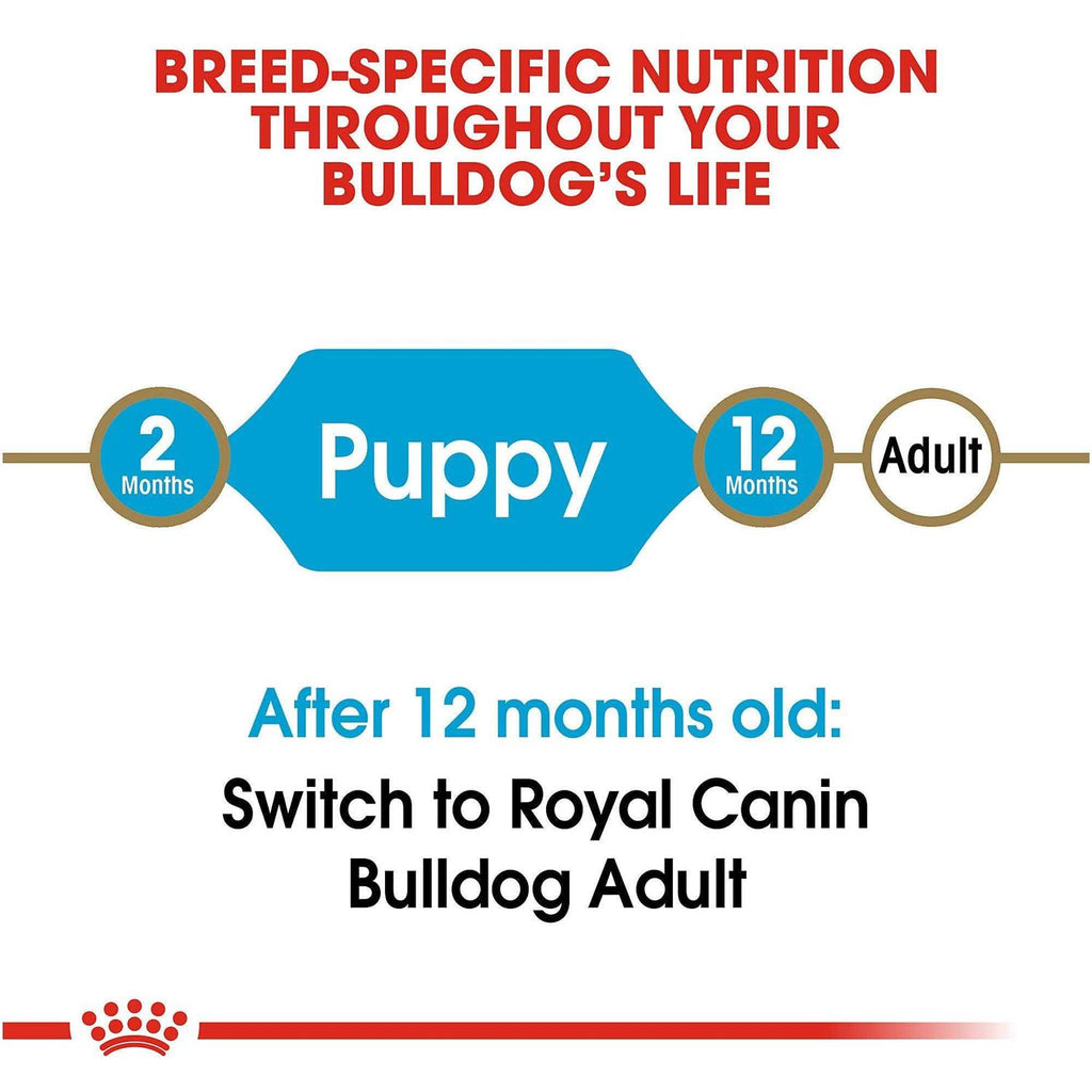 Bulldog Puppy Dry Dog Food V332