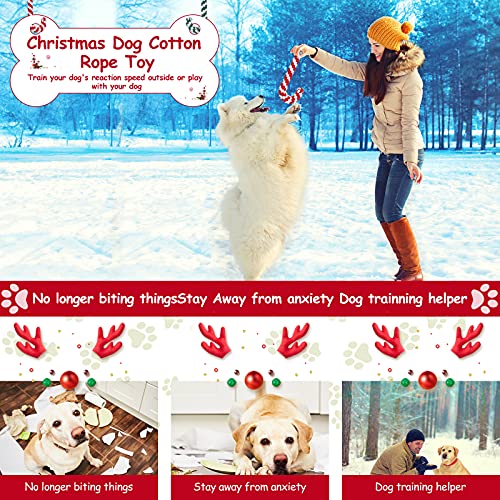 5 Pack Christmas Dog Chew and Training Toys K3284