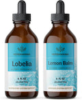 Lobelia Extract and Lemon Balm Tincture 4 fl oz 2 Pack N398398