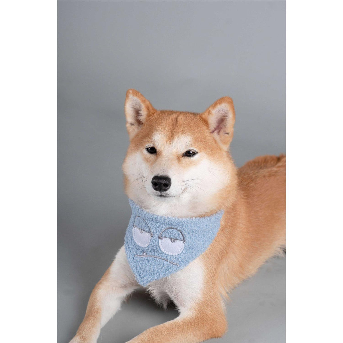 Nylon Dog Harness and Leash X650405