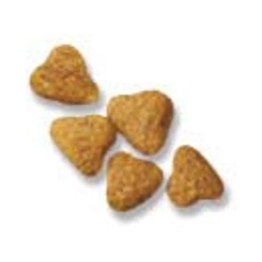 High Protein Small Bites Lamb and Rice Dog Food W595257
