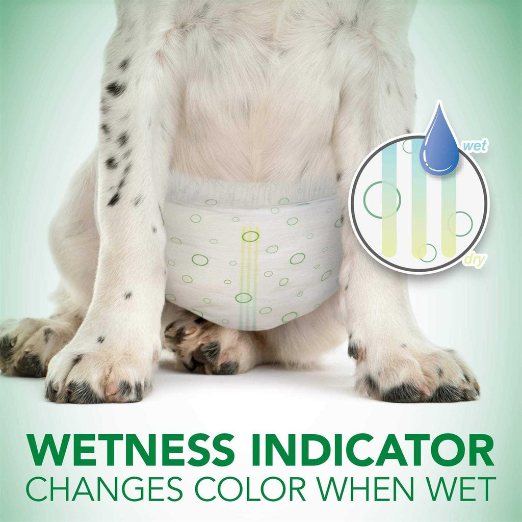 Disposable Female Dog Diapers Y39329