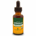 Astragalus X212