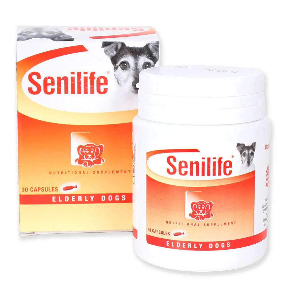 Nutritional Supplement for Elderly Dogs 30 Capsules K77709