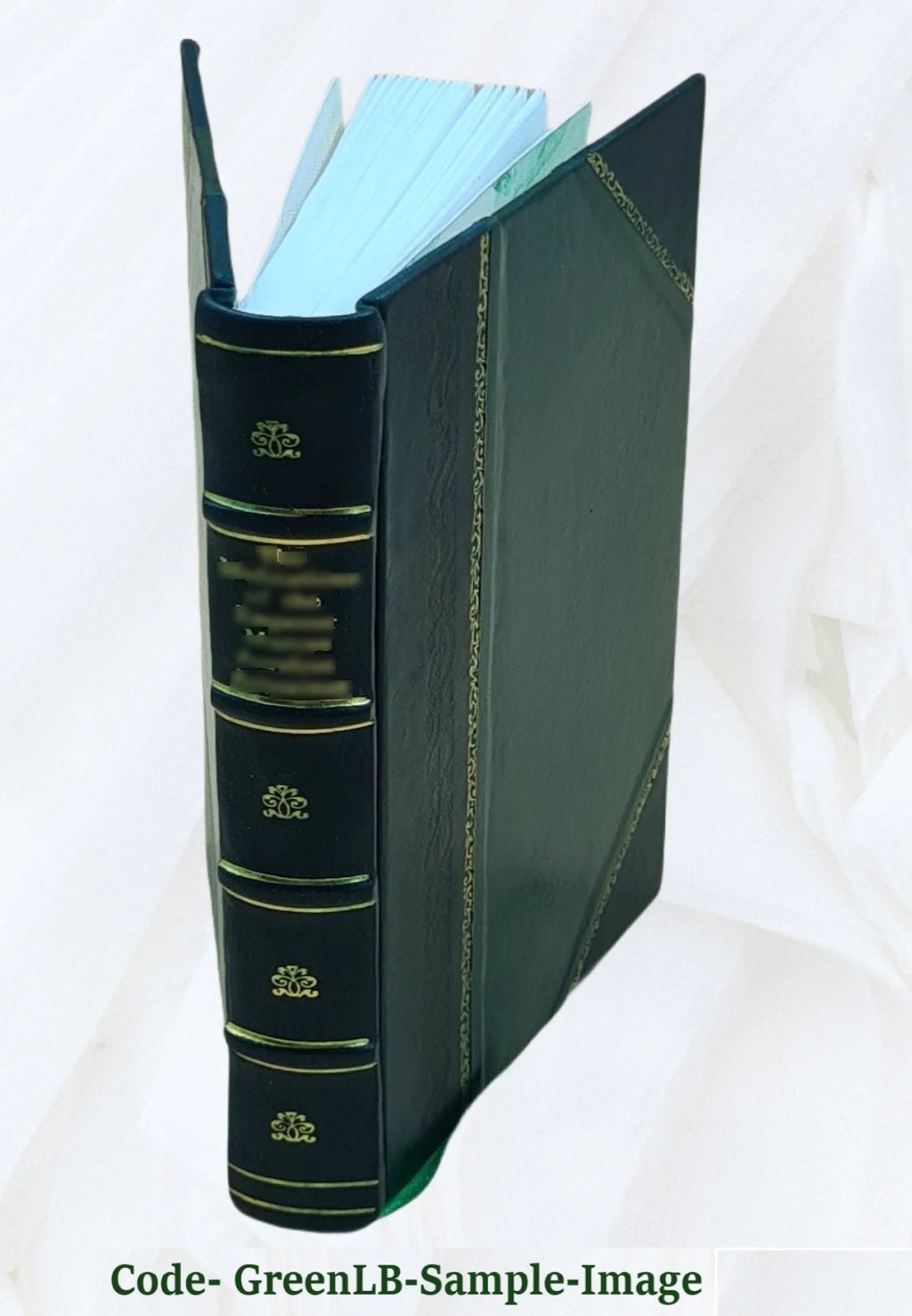 8 juan Leather Bound V958387
