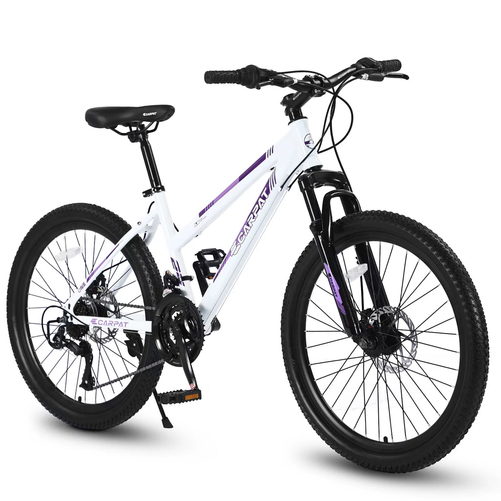 Pink 26 inch 21 Speed Dual Disc Brake Mountain Bike U7356