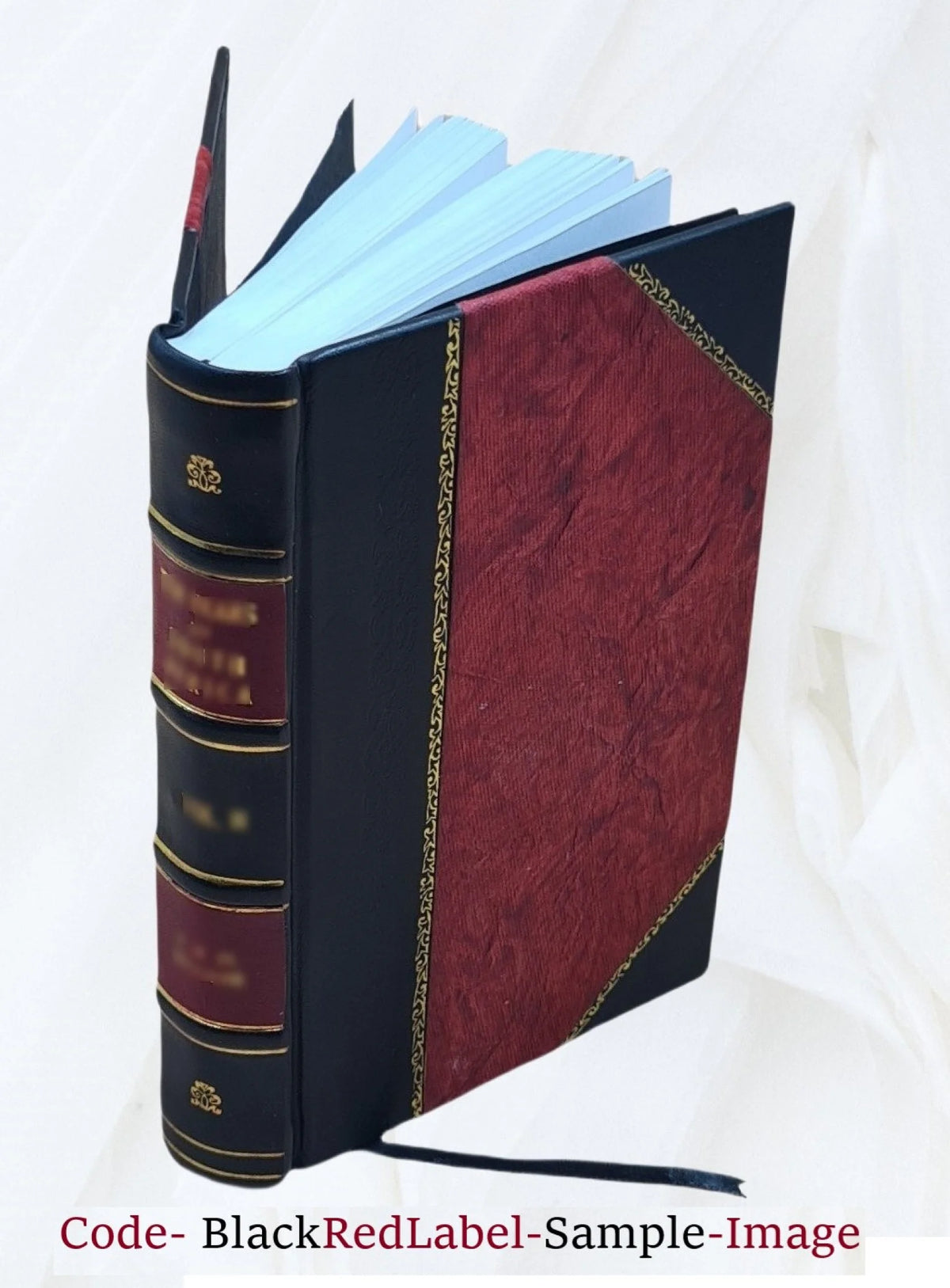 Topografia del romanzo I promessi sposi Volume 2 Leather Bound G307